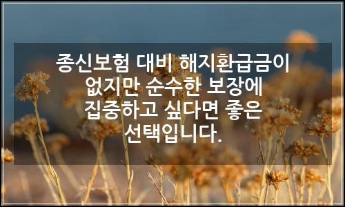 오늘의 이미지