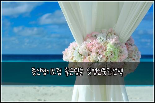 종신정기보험 좋은팁들  설명신중한선택