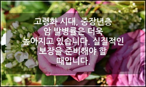오늘의 이미지
