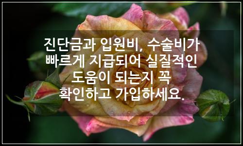 오늘의 이미지