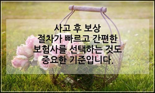 오늘의 이미지