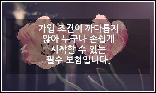 오늘의 이미지