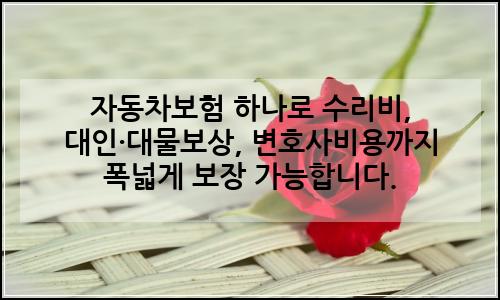 오늘의 이미지