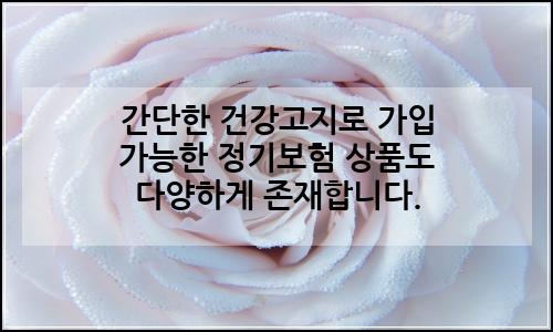 오늘의 이미지