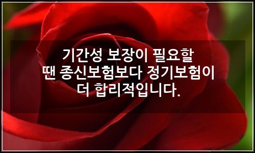 오늘의 이미지