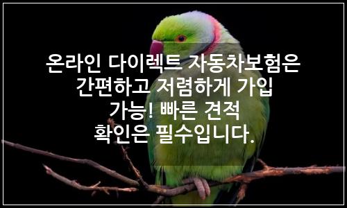 오늘의 이미지