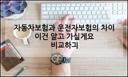 오늘의 이미지