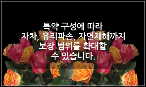 오늘의 이미지
