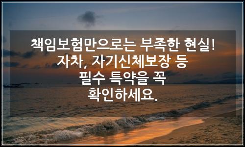 오늘의 이미지