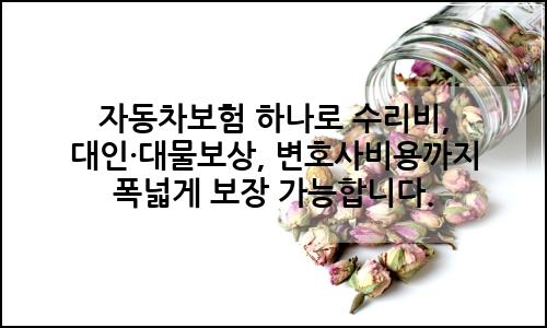 오늘의 이미지