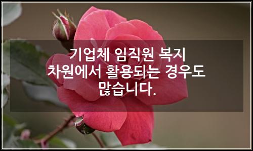 오늘의 이미지