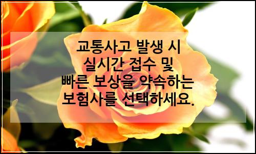 오늘의 이미지