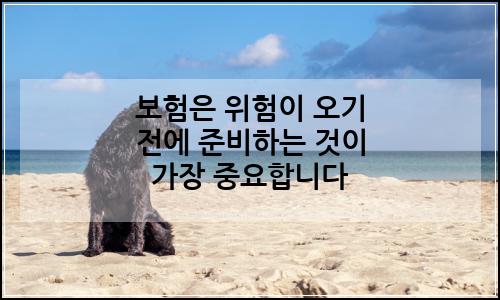 오늘의 이미지