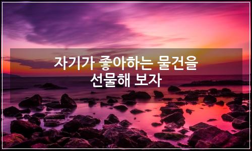오늘의 이미지