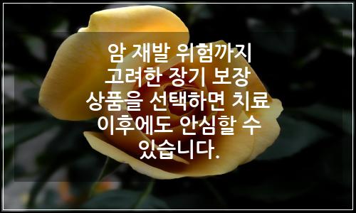 오늘의 이미지