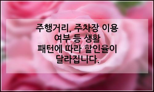 오늘의 이미지