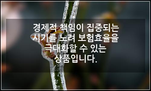 오늘의 이미지