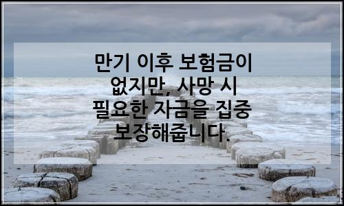 오늘의 이미지