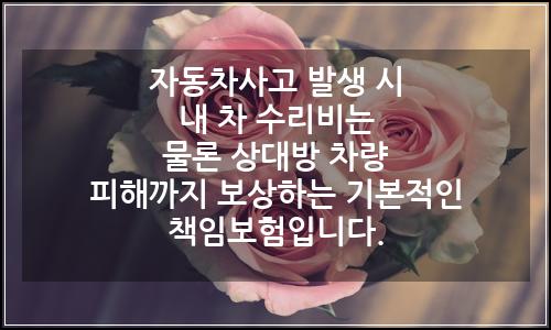 오늘의 이미지