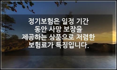 오늘의 이미지