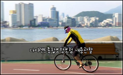 다이렉트종합보장보험 내용관찰 