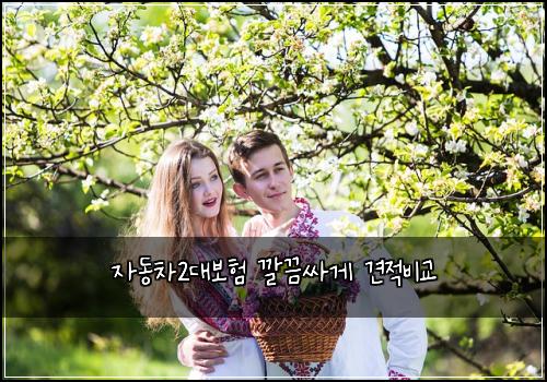자동차2대보험 깔끔싸게  견적비교