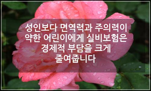 오늘의 이미지