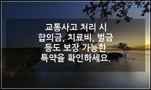 오늘의 이미지