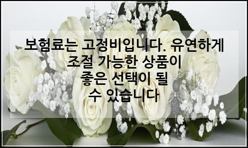 오늘의 이미지