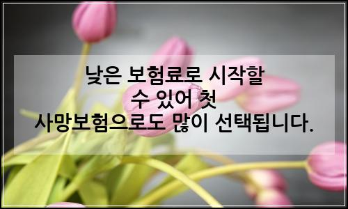 오늘의 이미지