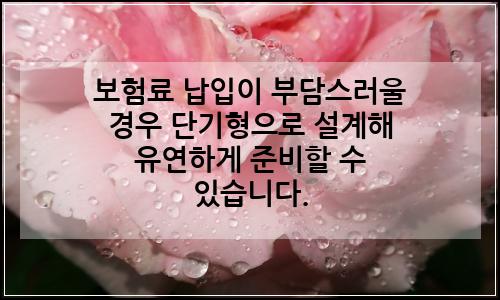 오늘의 이미지