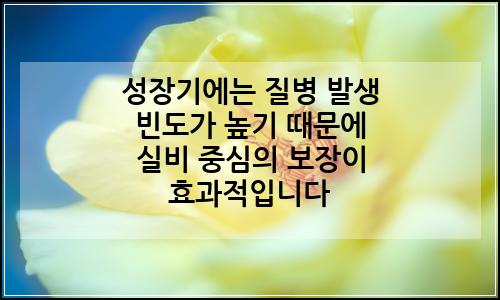 오늘의 이미지