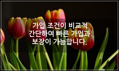오늘의 이미지