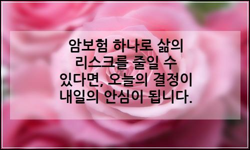오늘의 이미지
