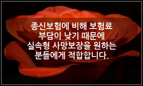 오늘의 이미지