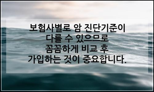 오늘의 이미지