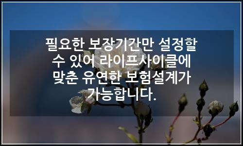 오늘의 이미지