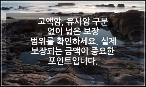 오늘의 이미지