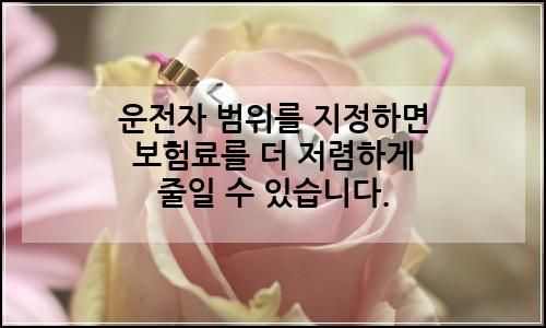 오늘의 이미지