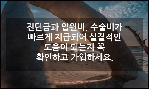 오늘의 이미지