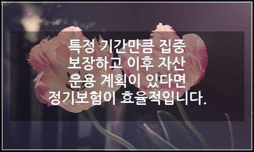 오늘의 이미지