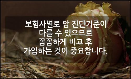 오늘의 이미지