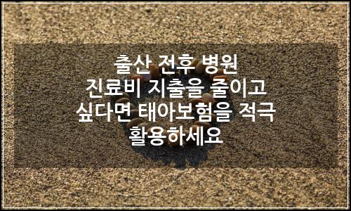 오늘의 이미지