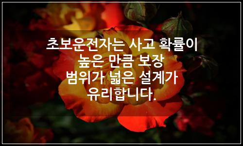오늘의 이미지