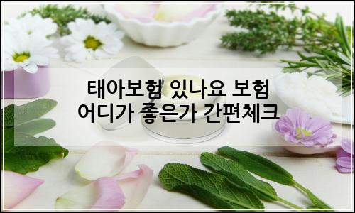 오늘의 이미지