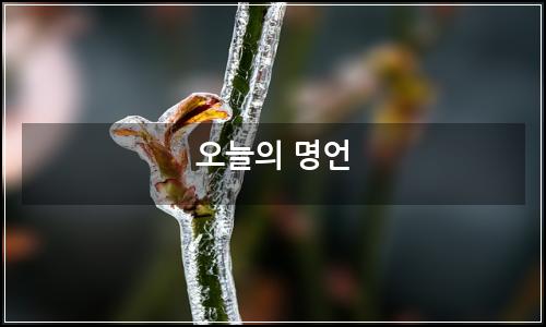 오늘의 이미지