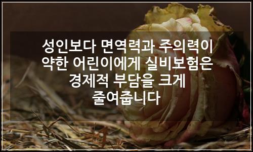 오늘의 이미지
