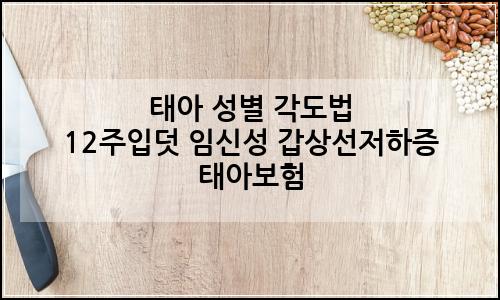 오늘의 이미지