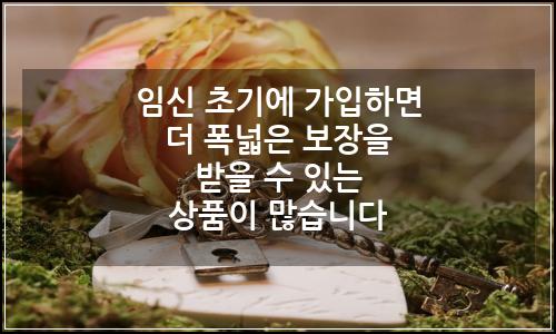 오늘의 이미지