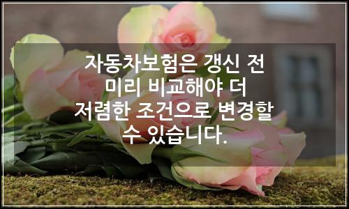 오늘의 이미지